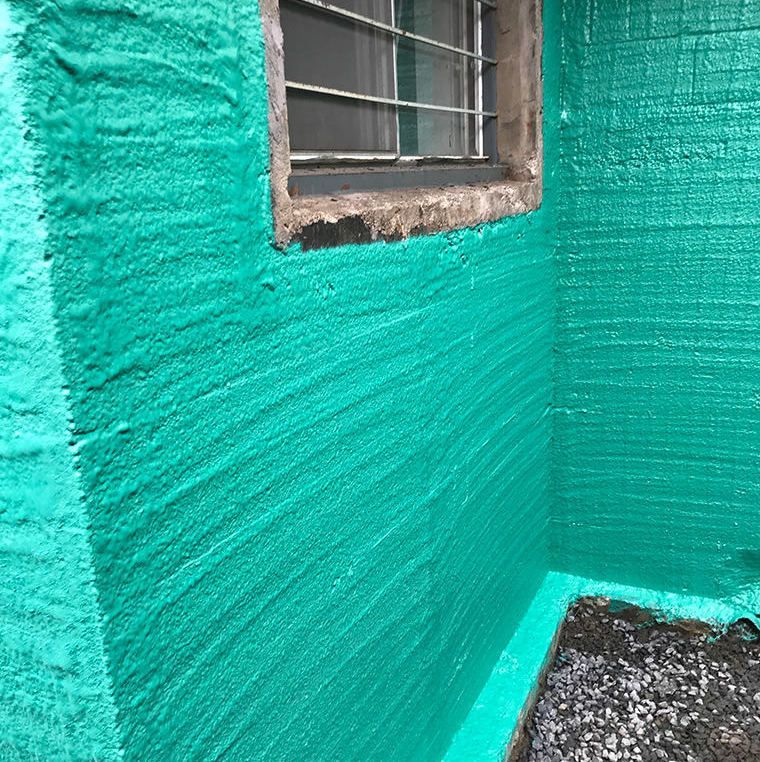 Un mur végétal avec une fenêtre dans le coin.