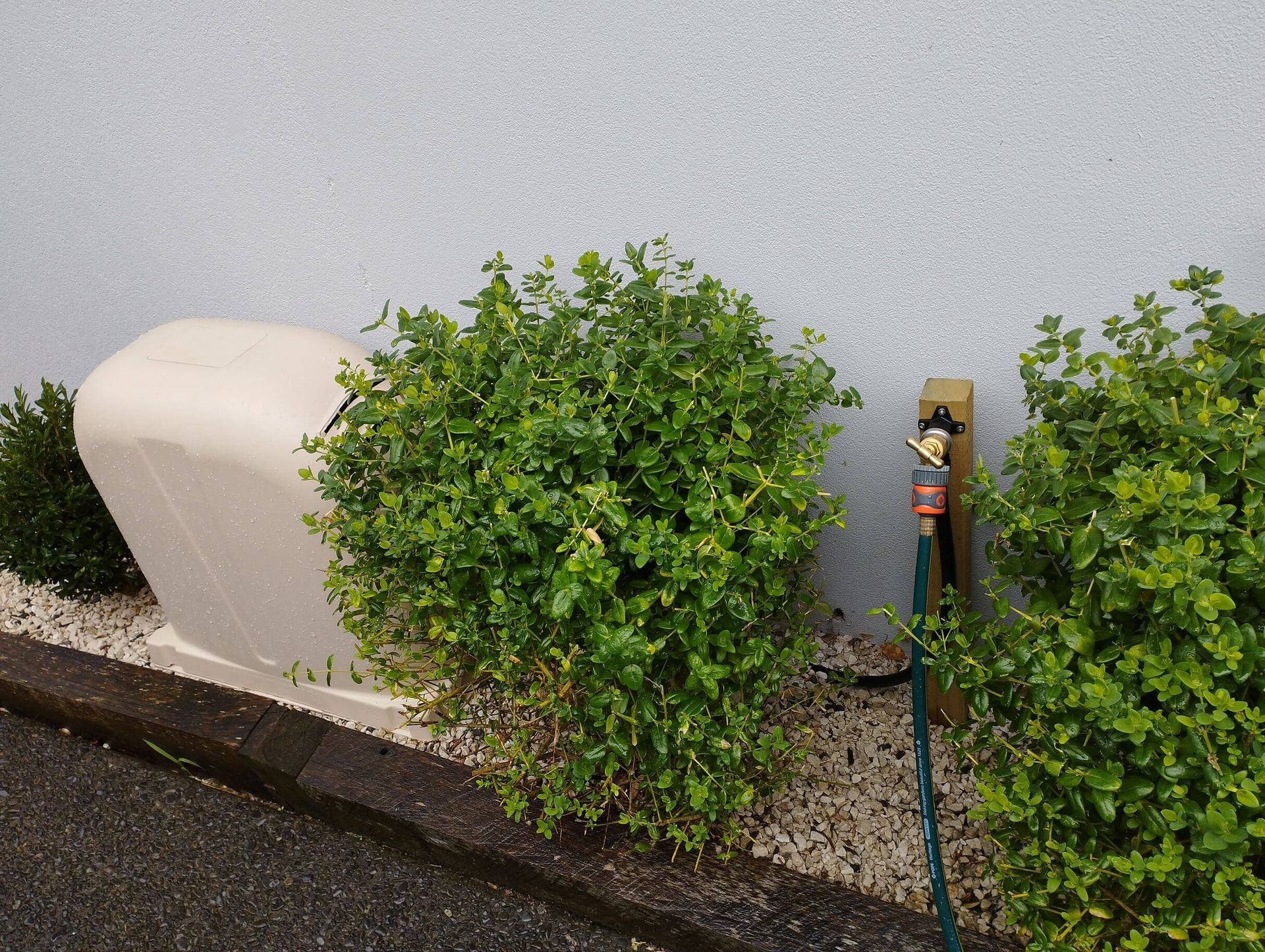 water bore with cover and garden hose connected in Tauranga