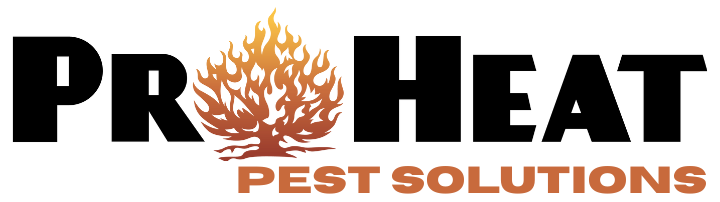 bed bug exterminator near me