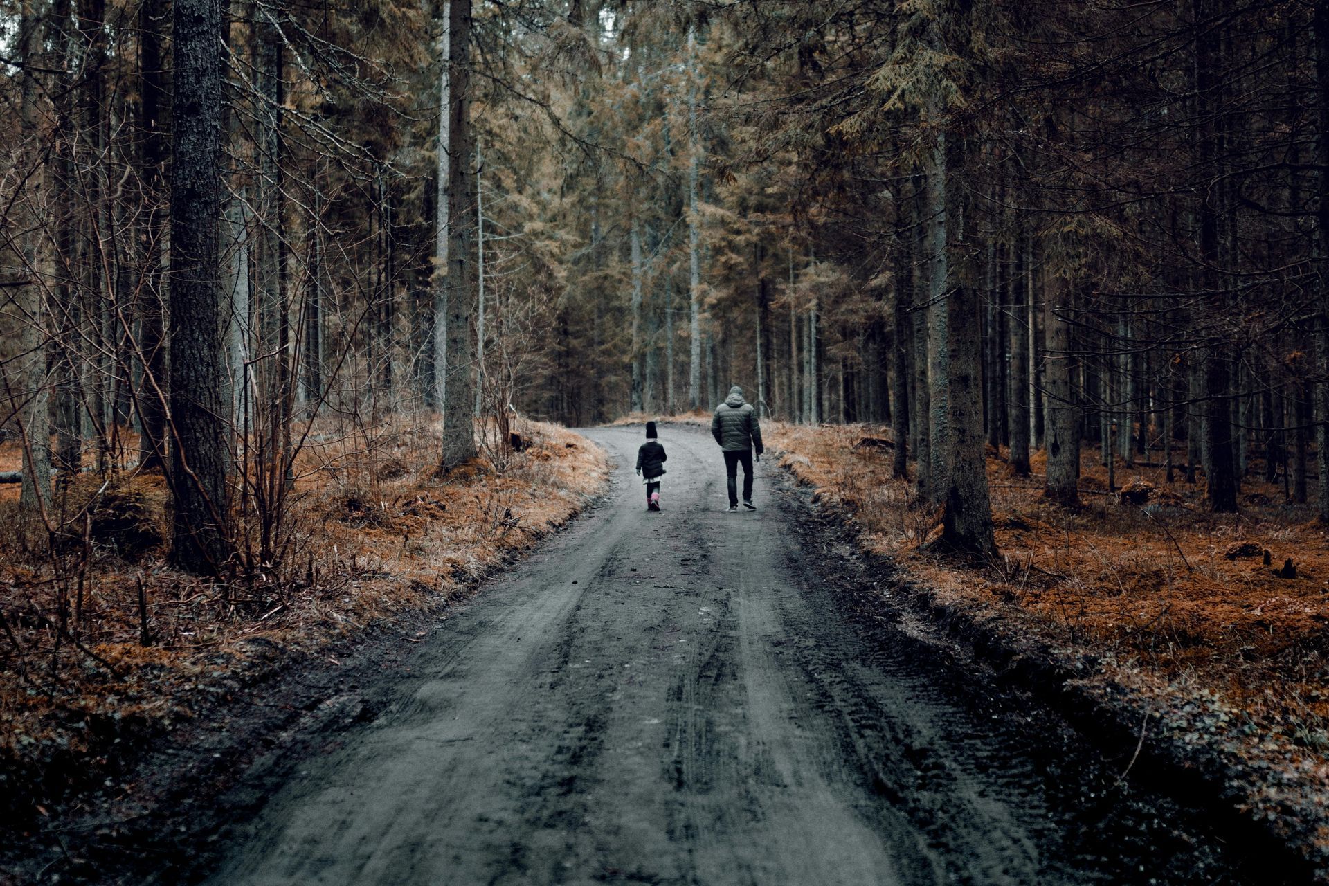 Two people are walking down a dirt road in the woods.