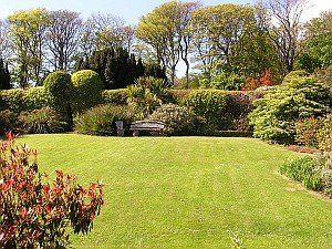 Manutenzione di spazi verdi