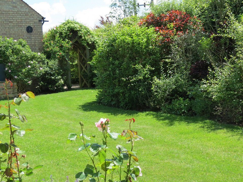 Progettazione di aree verdi