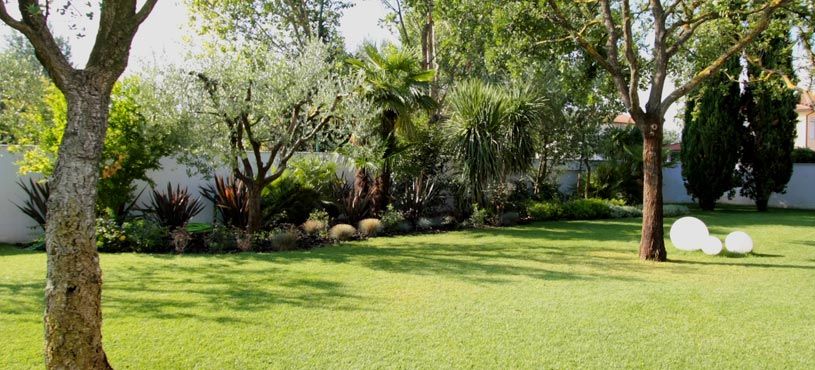 Allestimento di aree verdi