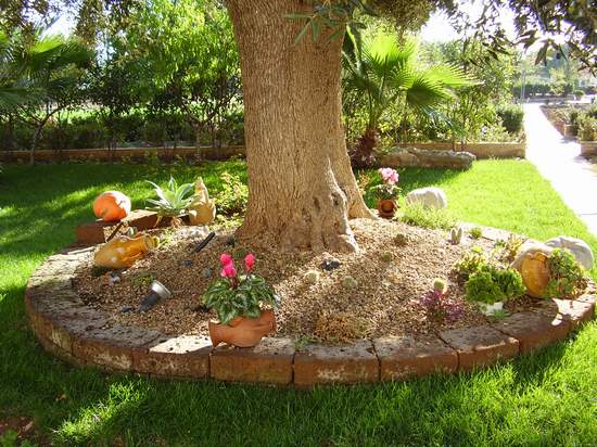 Mesa a dimora di alberi