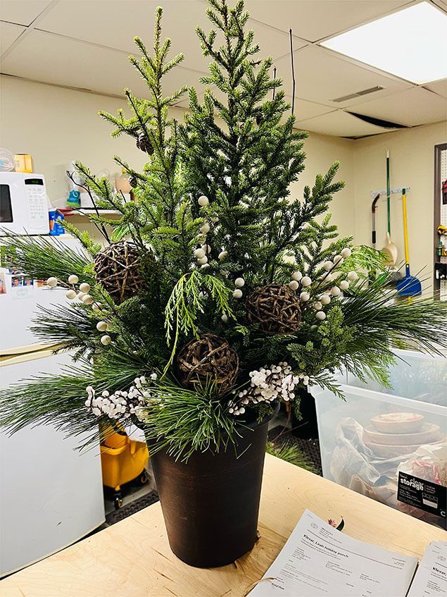 A potted christmas tree is sitting on a wooden table.