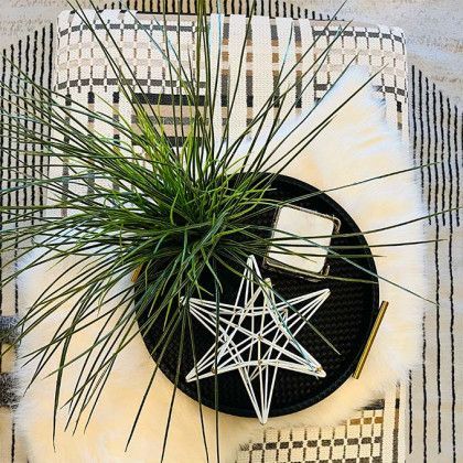 A plant is sitting on top of a black tray on a table.