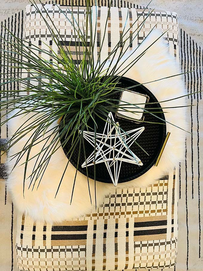 A plant is sitting on top of a tray on a table.