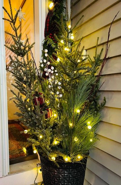 A small christmas tree in a pot with lights on it.