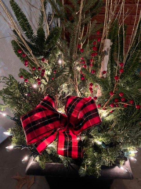 A christmas tree in a pot with a red and black plaid bow.