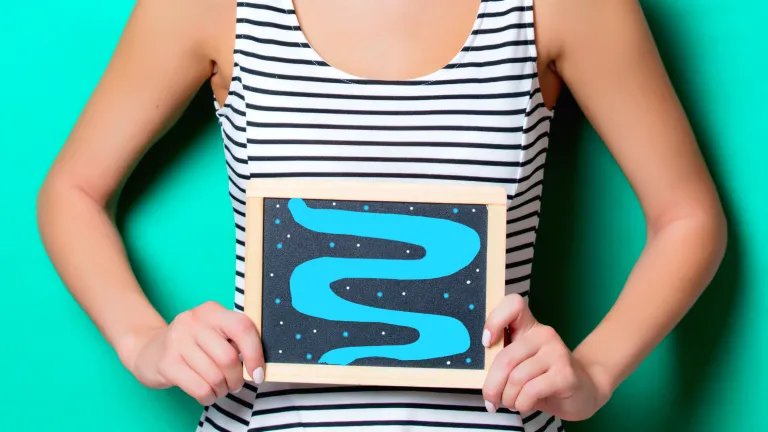 Digestion Image — Supplements & Organic Produce in Mid North Coast, NSW