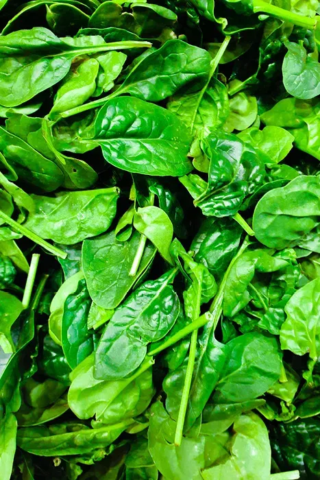 Leafy Green Vegetables — Supplements & Organic Produce in Mid North Coast, NSW