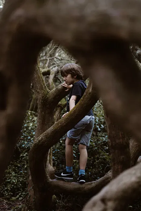 Kid At The Forest — Supplements & Organic Produce in Mid North Coast, NSW
