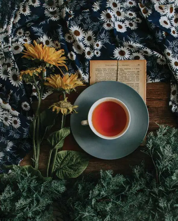 A Cup Of Tea — Supplements & Organic Produce in Mid North Coast, NSW