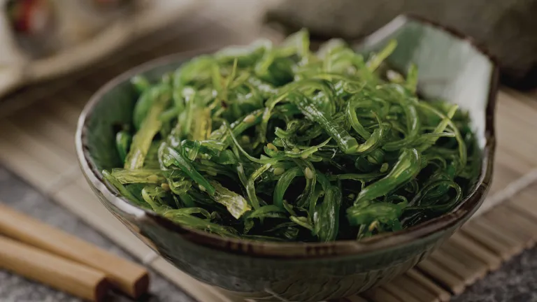 Seaweed — Supplements & Organic Produce in Mid North Coast, NSW