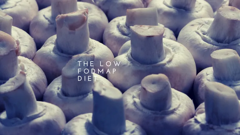 Mushroom — Supplements & Organic Produce in Mid North Coast, NSW