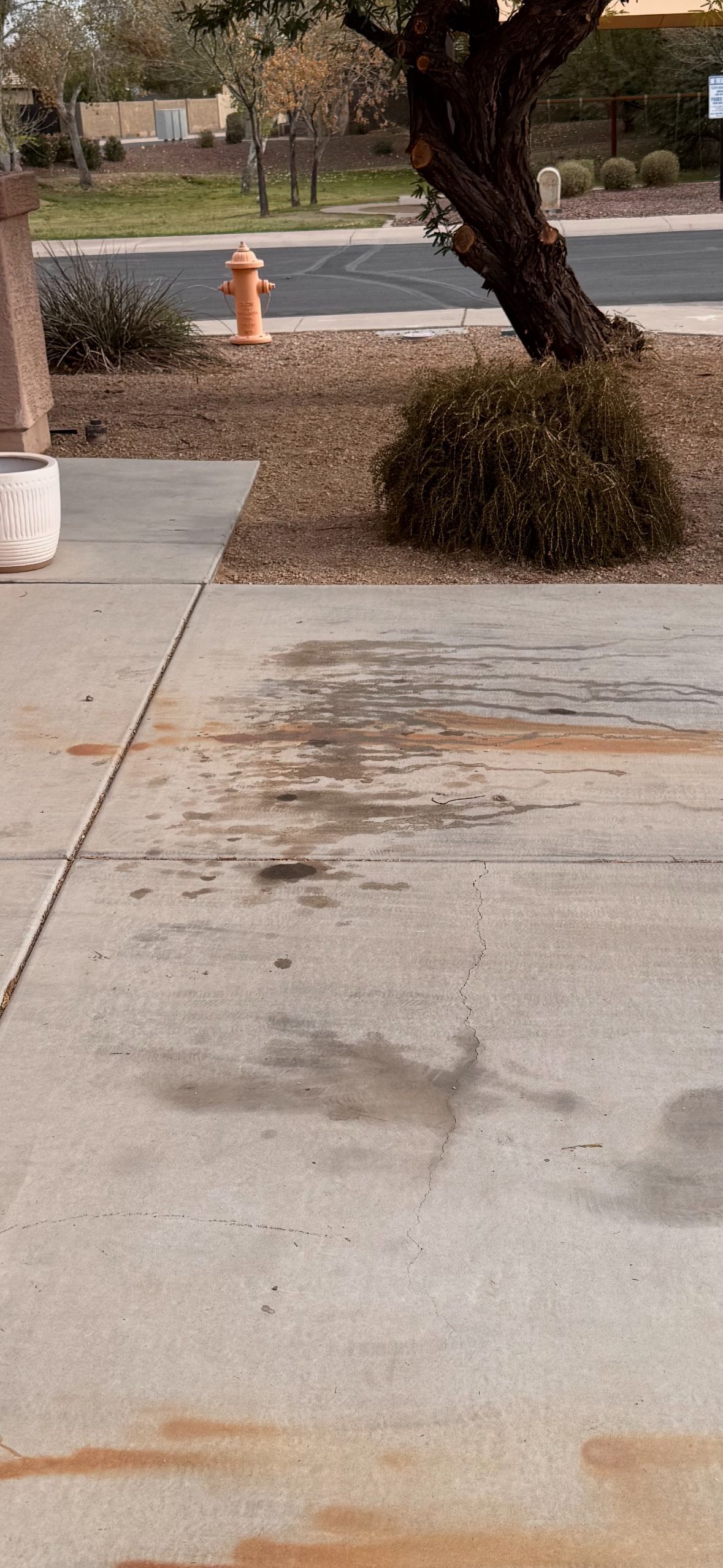 Sidewalk stained with dark marks, leading toward a street with a fire hydrant. A tree and bush are nearby.