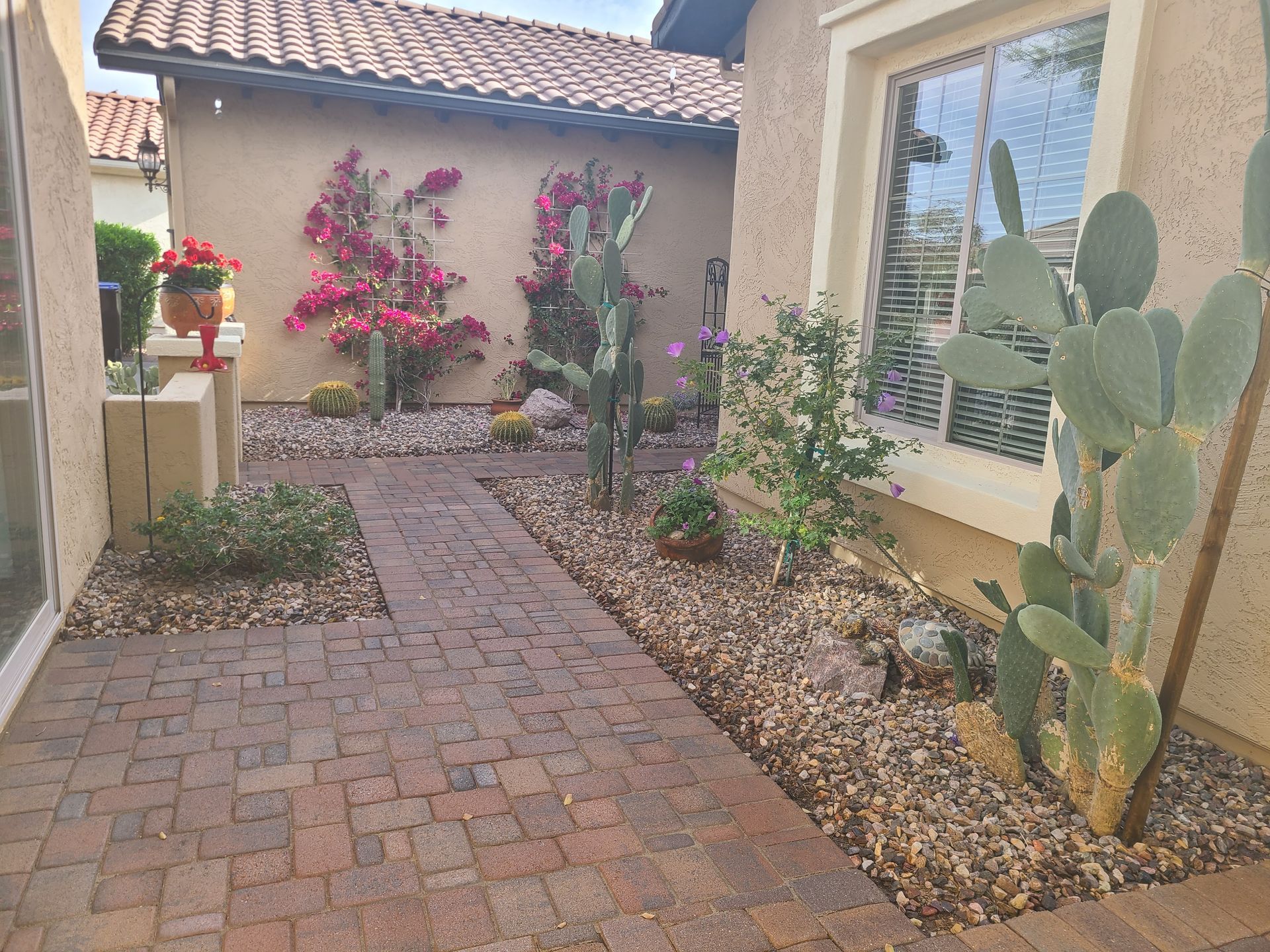 Brick path leads through a xeriscape garden with cacti, flowering bushes, and a beige stucco house.