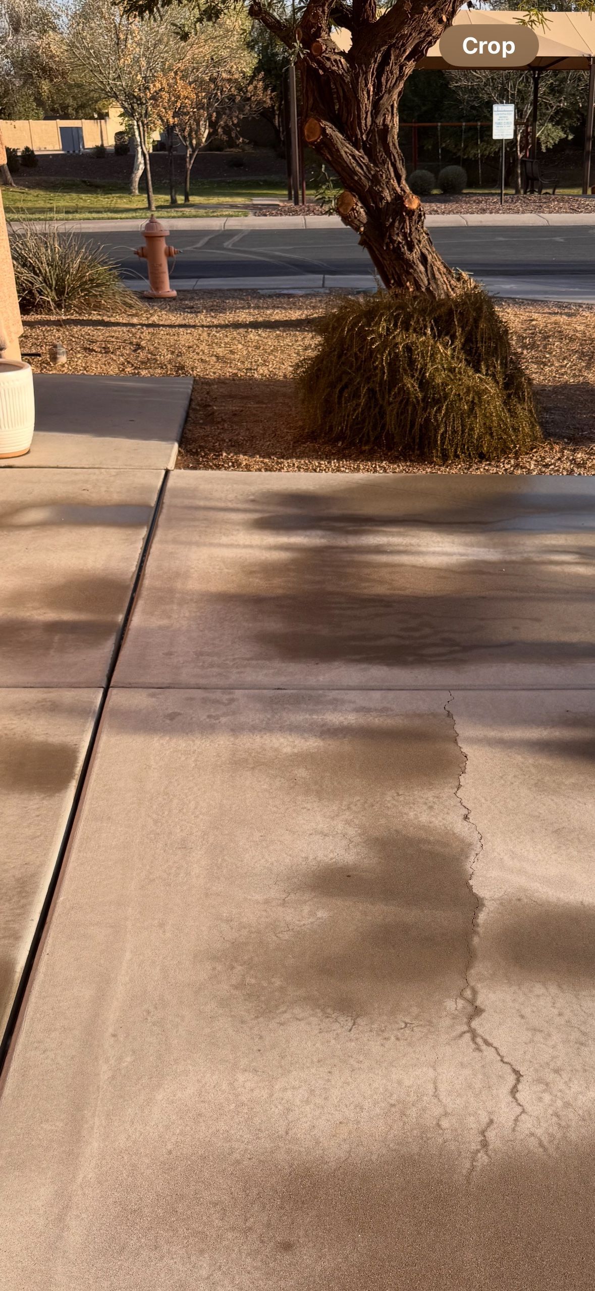 A sidewalk with cracks and shadows from a tree. A tree and a road are in the background.