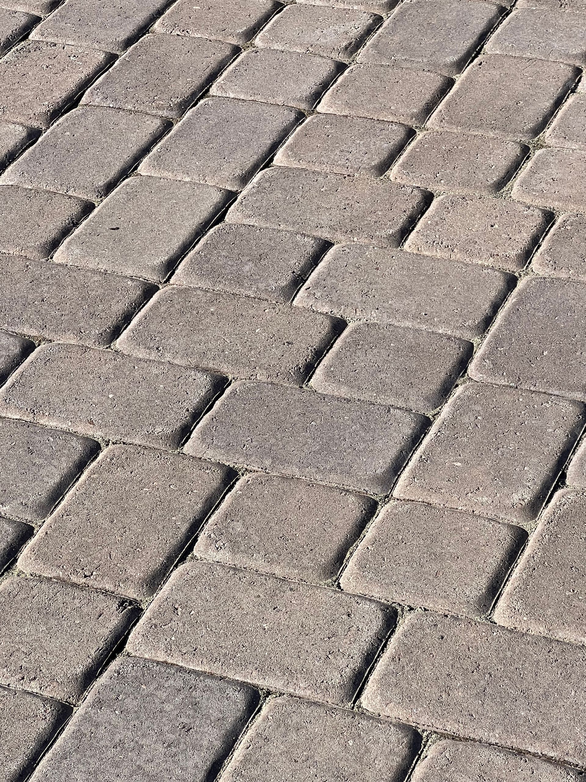 Close-up of gray brick pavers arranged in a herringbone pattern on a walkway.