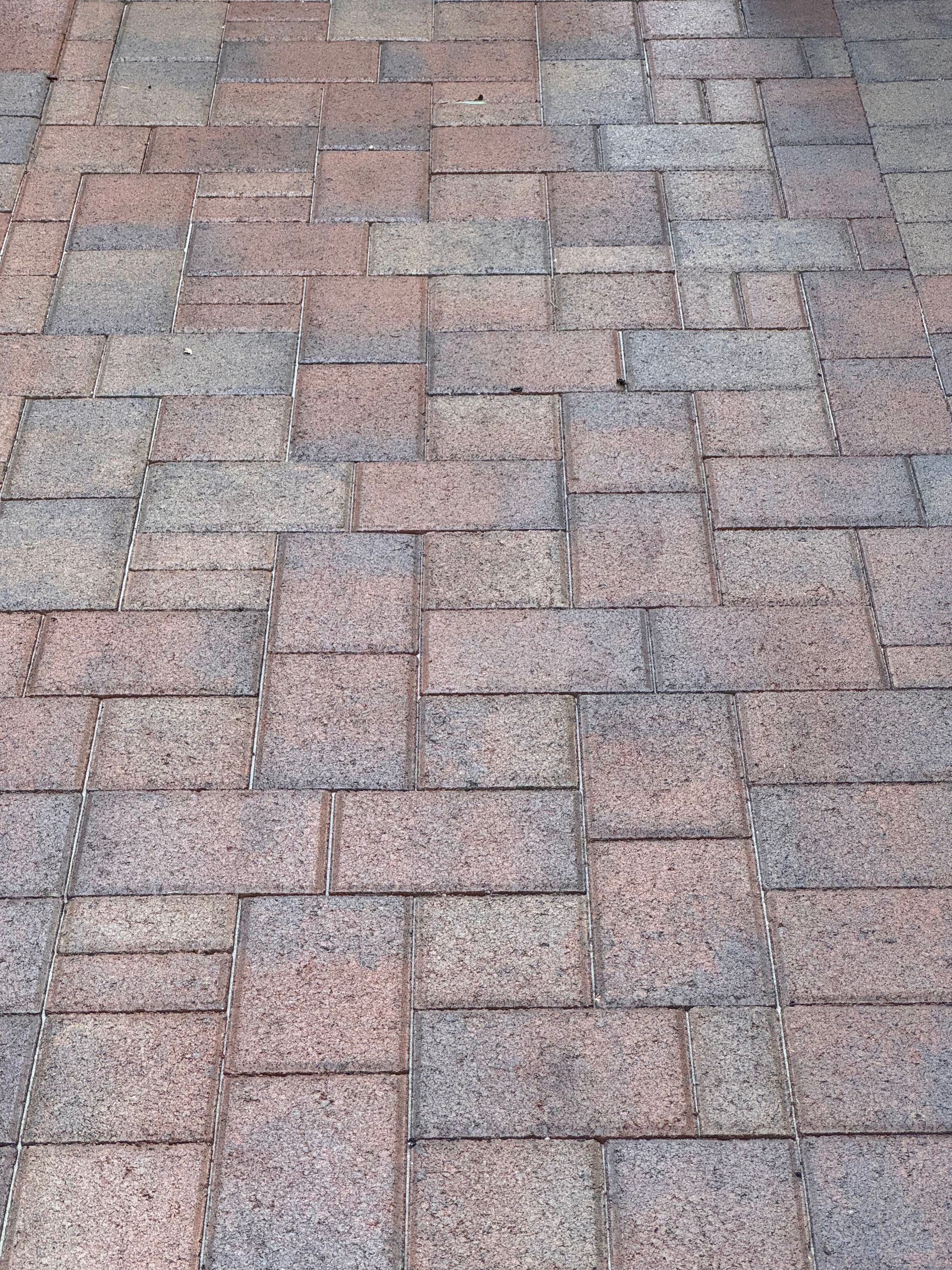 Close-up of a multi-colored asphalt shingle roof. The shingles are laid in a brick-like pattern.