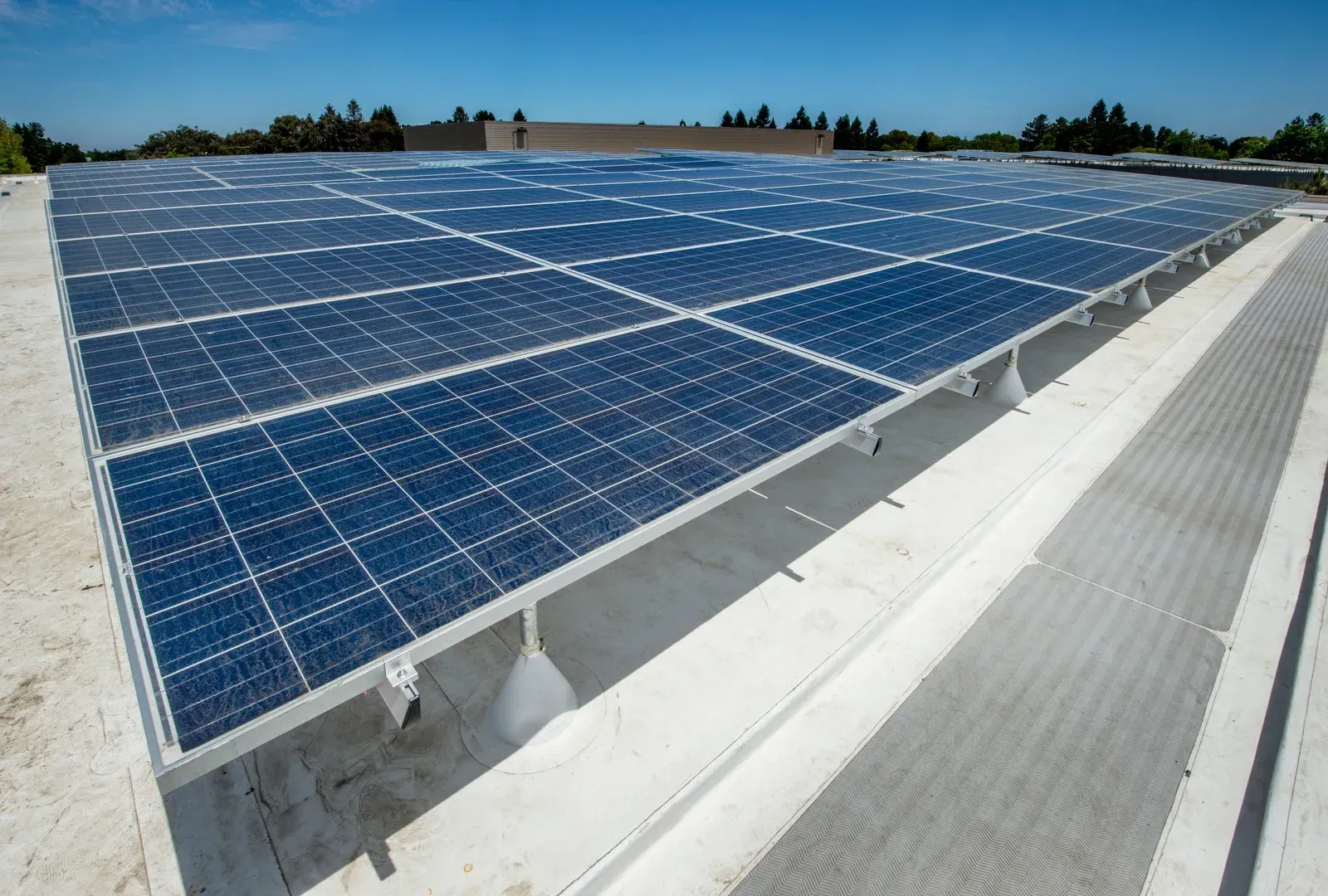 Solar panels on a flat commercial roof, generating clean energy on a sunny day.