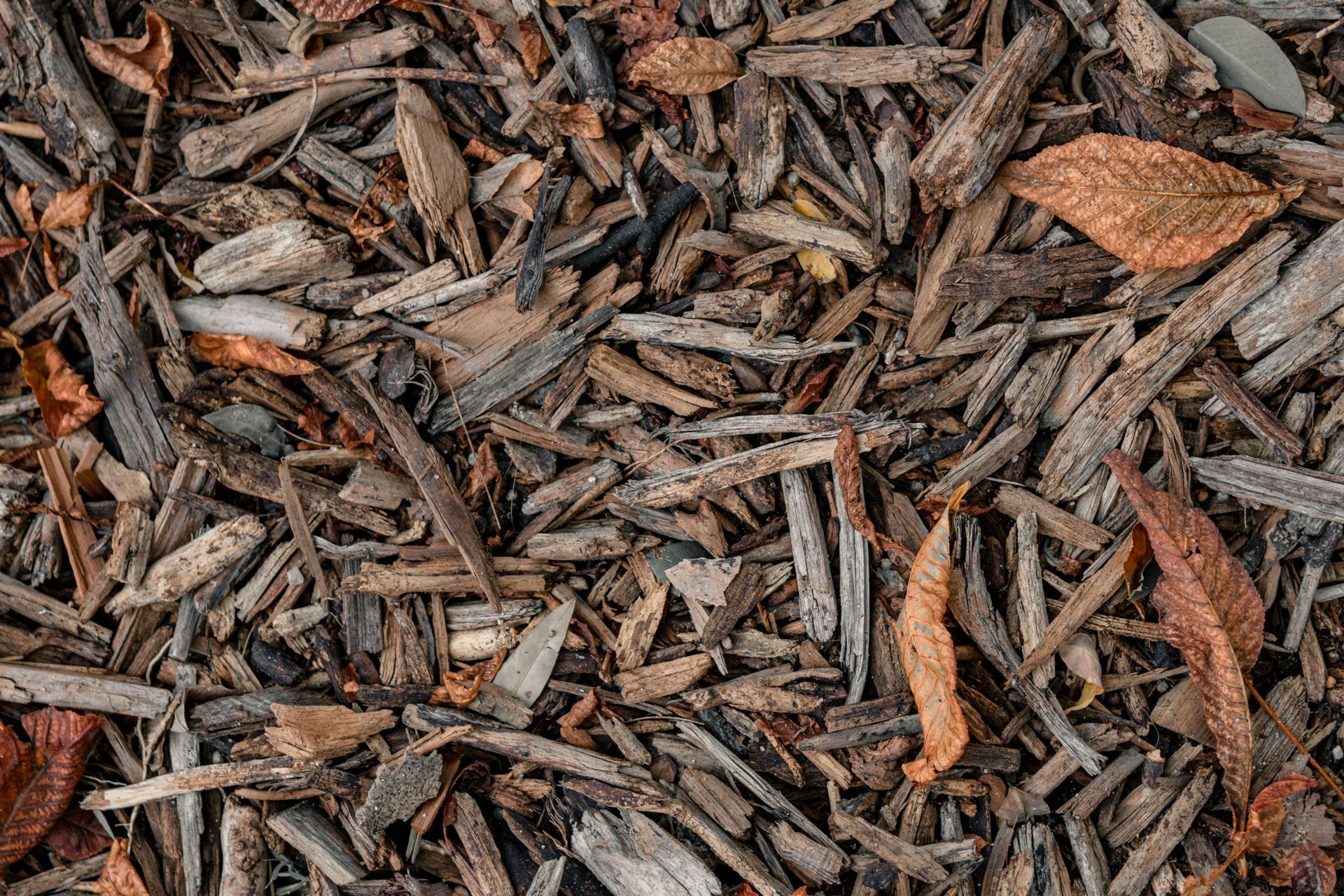Mulch with various brown colors