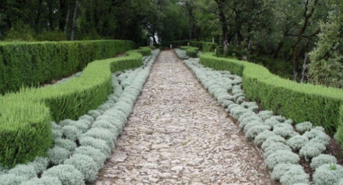 Manutenzione aree verdi