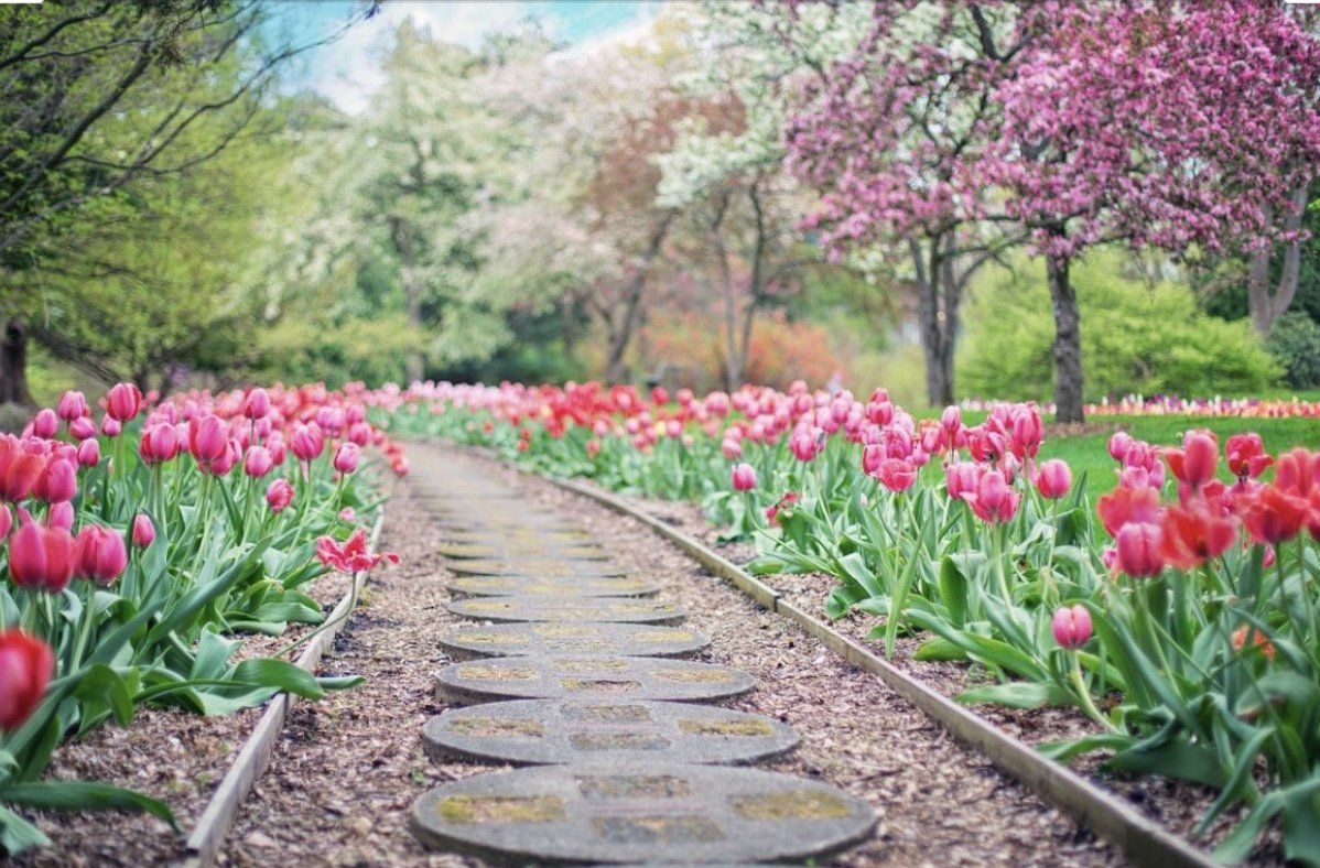 Manutenzione aree verdi