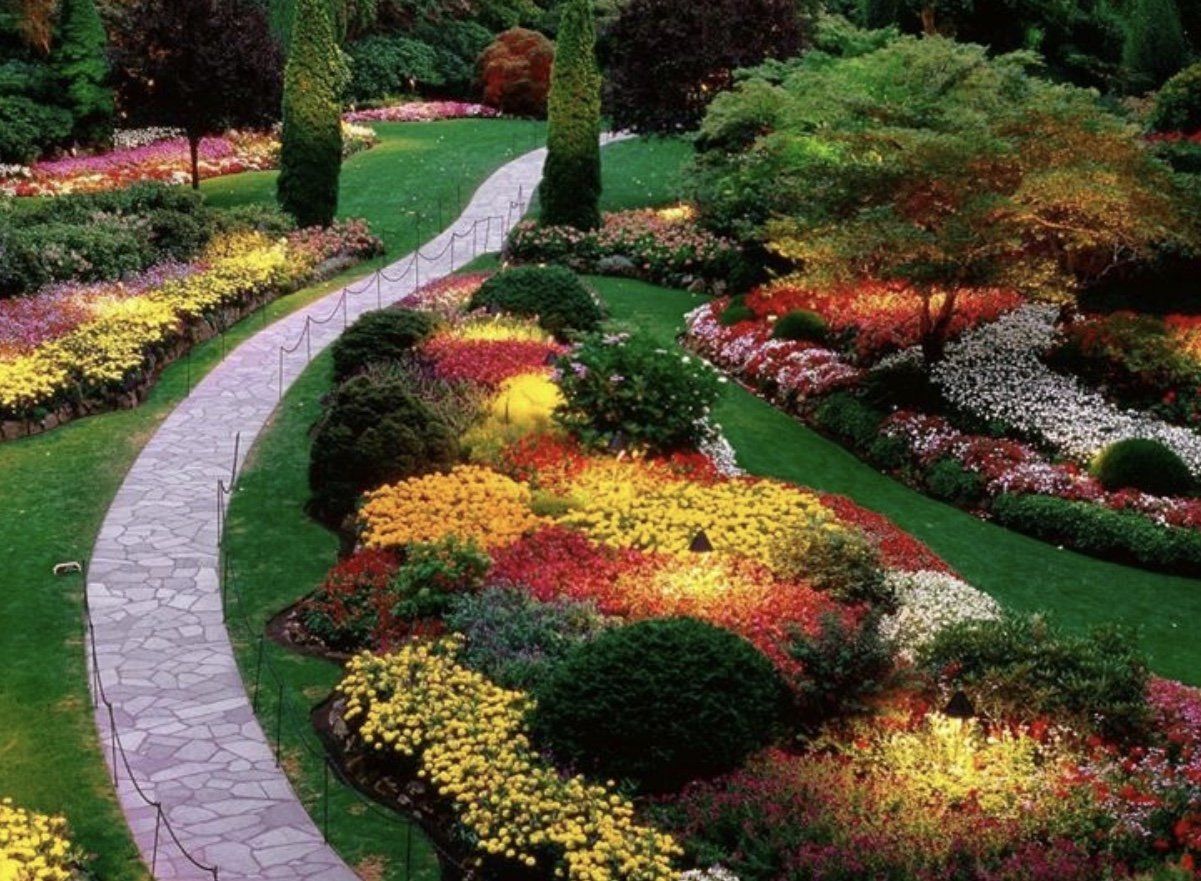 Manutenzione aree verdi