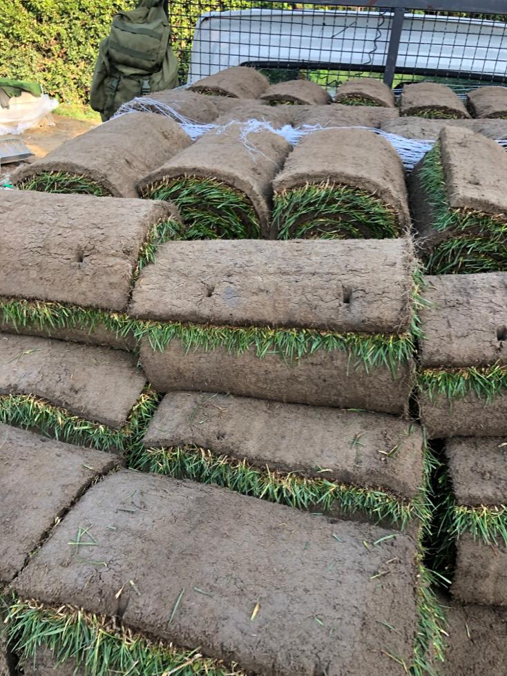 Manutenzione aree verdi