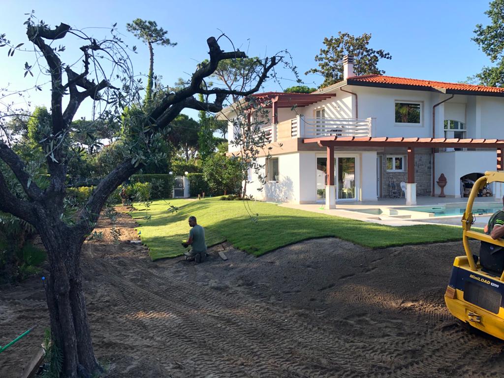 Manutenzione aree verdi