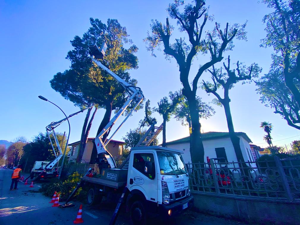 Manutenzione aree verdi