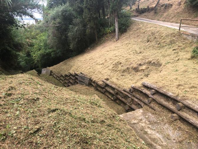 Manutenzione aree verdi