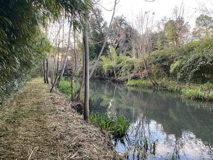 Manutenzione aree pubbliche