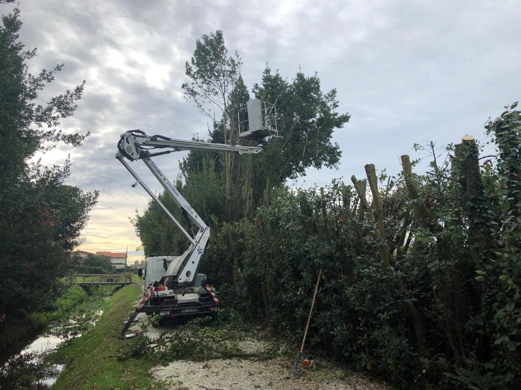 Manutenzione aree verdi