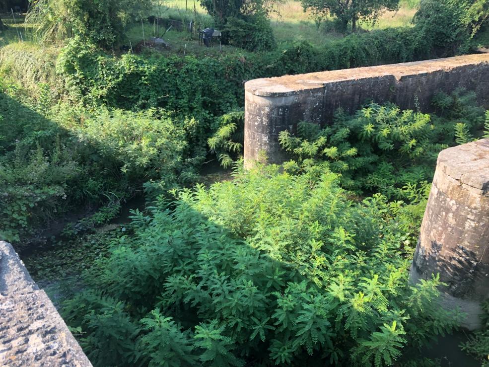 Manutenzione aree verdi