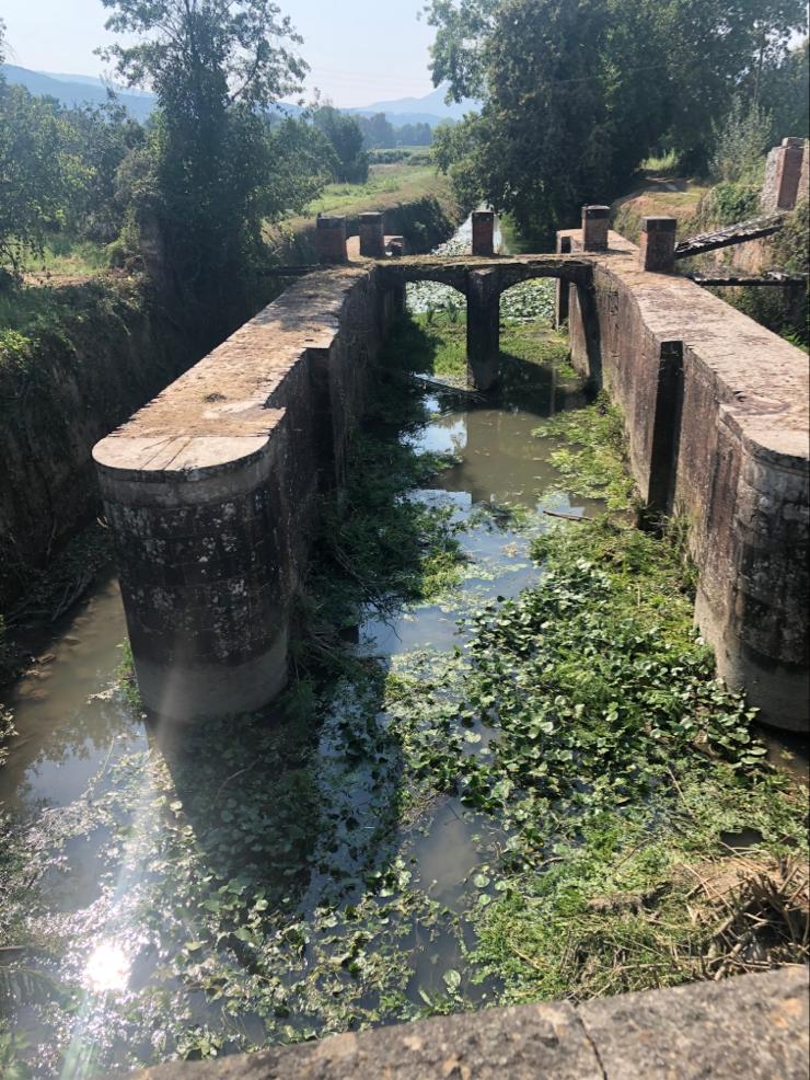 Manutenzione aree verdi