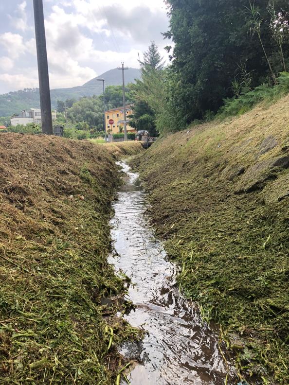 Manutenzione aree verdi