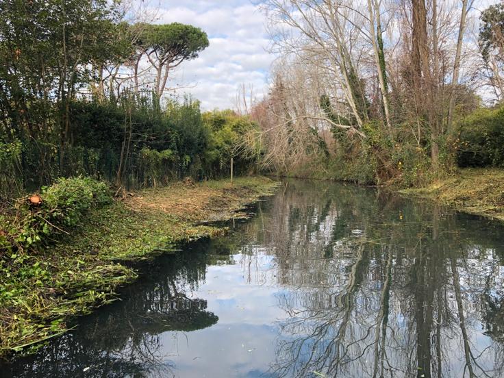 Manutenzione aree verdi