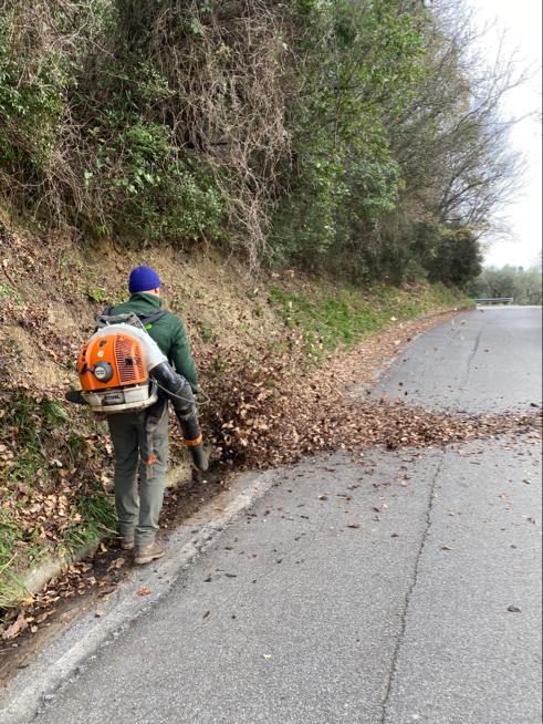 Manutenzione aree verdi
