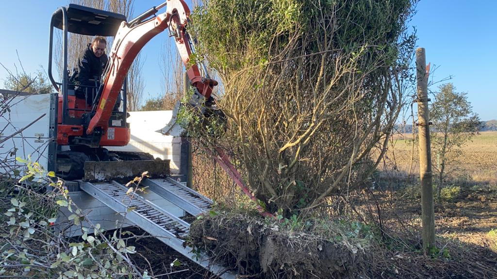 Manutenzione aree verdi