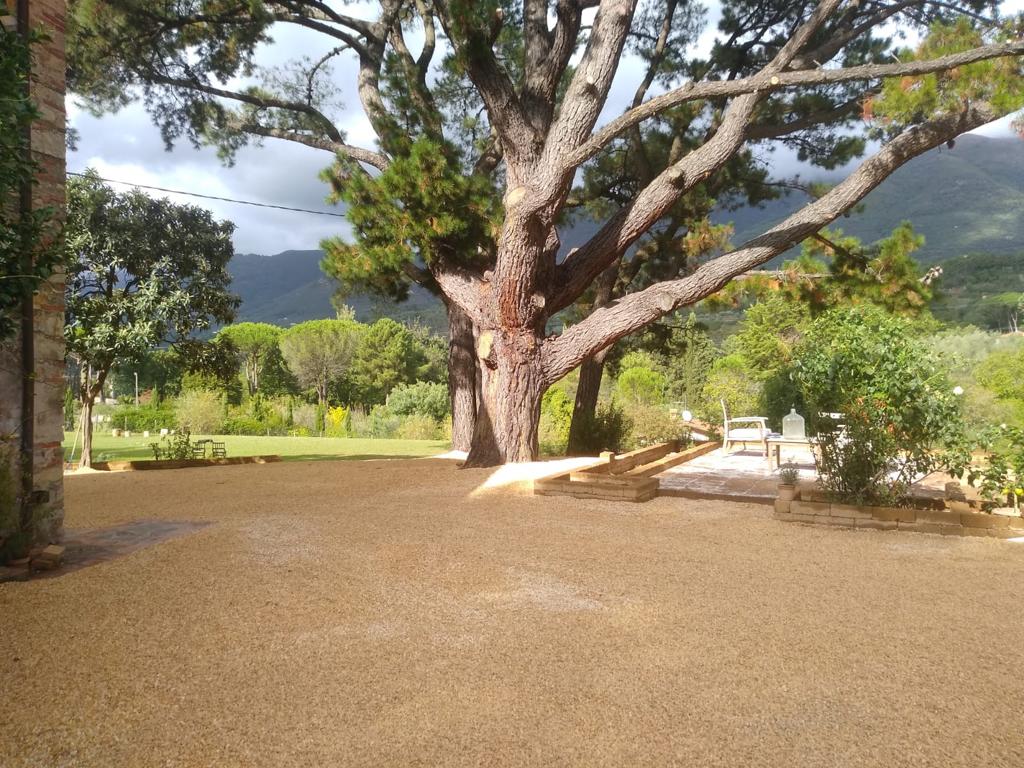 Manutenzione aree verdi