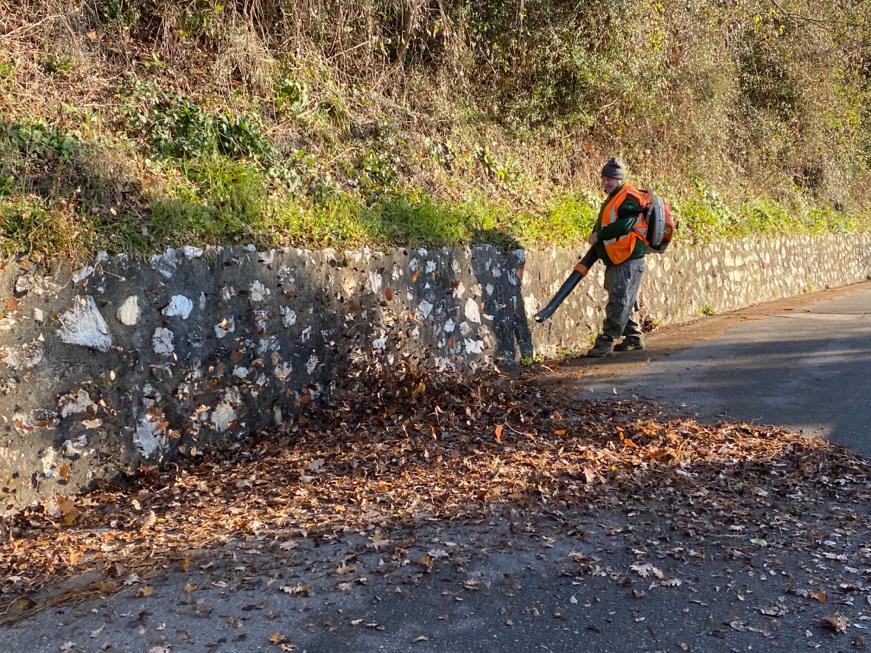 Manutenzione aree verdi