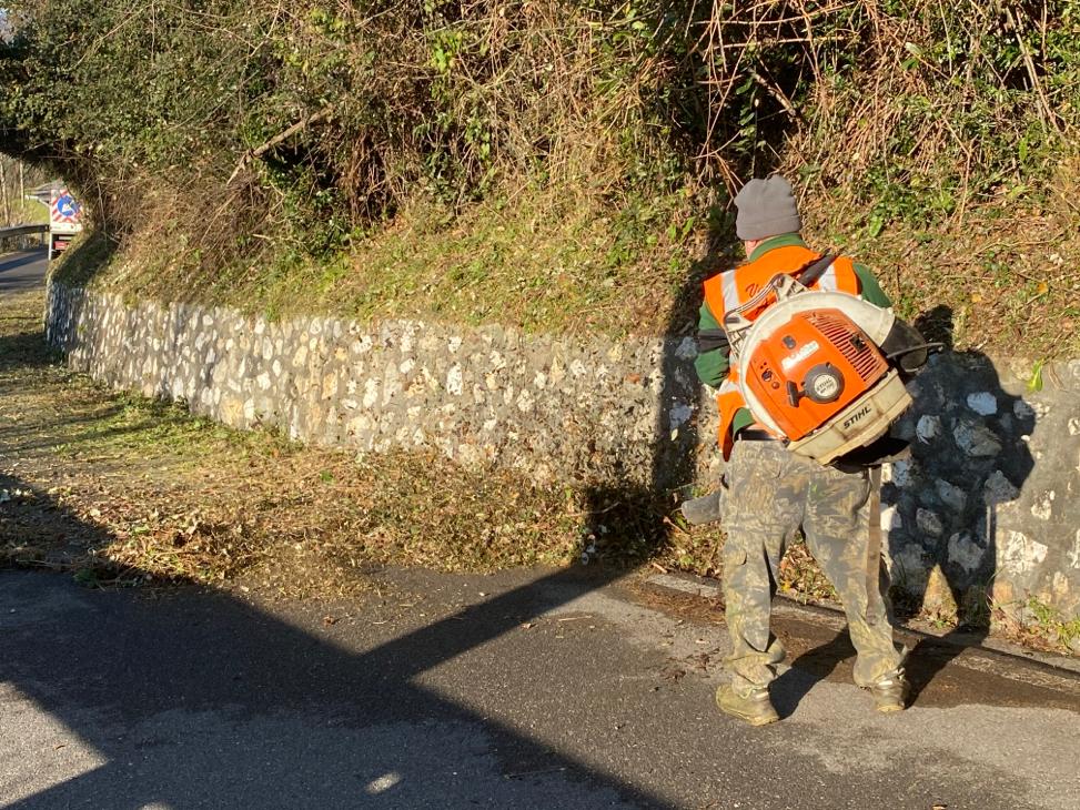 Manutenzione aree verdi