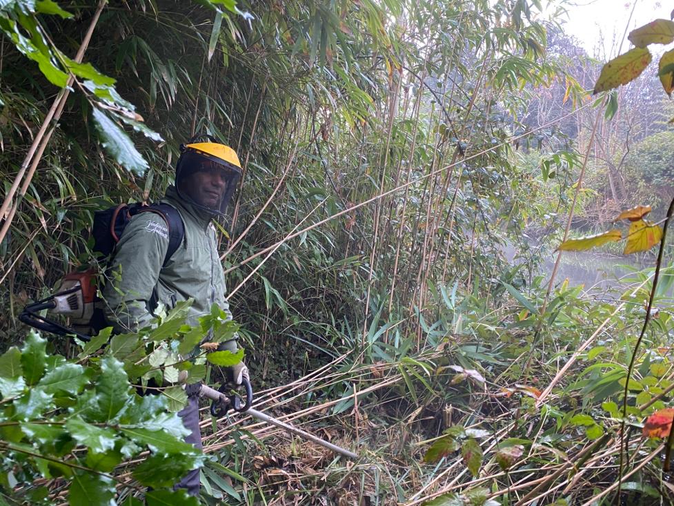 Manutenzione aree verdi