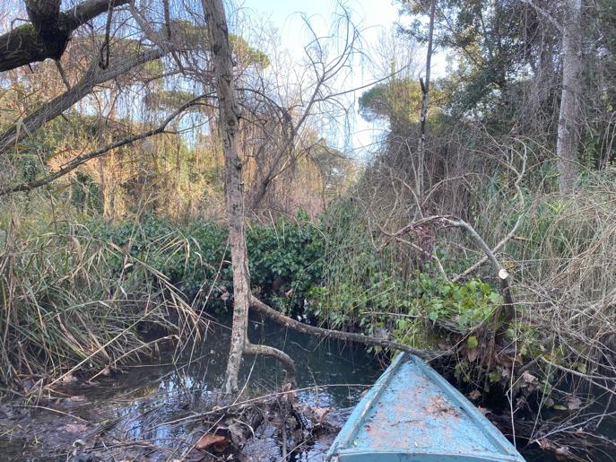 Manutenzione aree verdi