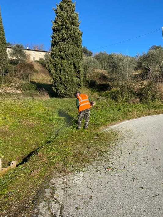 Manutenzione aree verdi