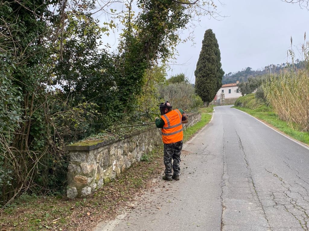 Manutenzione aree verdi