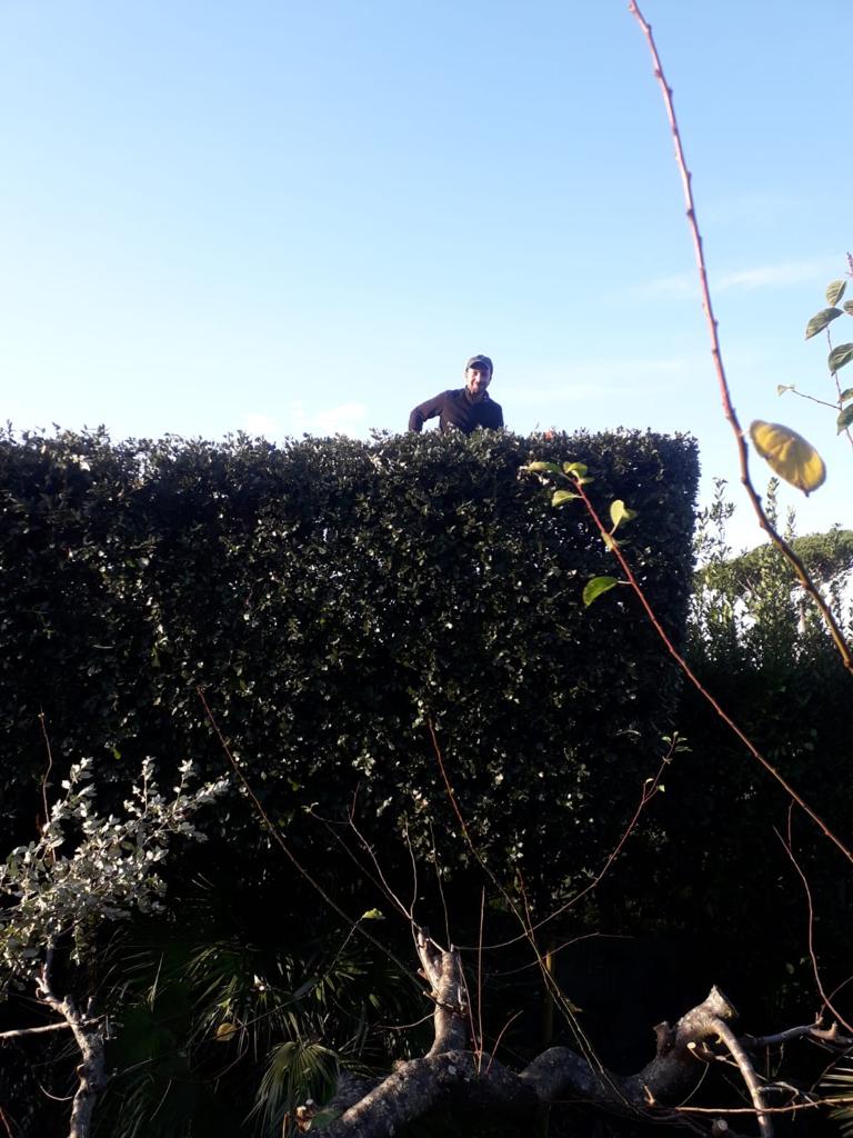 Manutenzione aree verdi