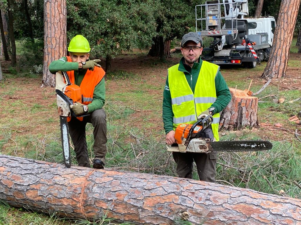 Manutenzione aree verdi